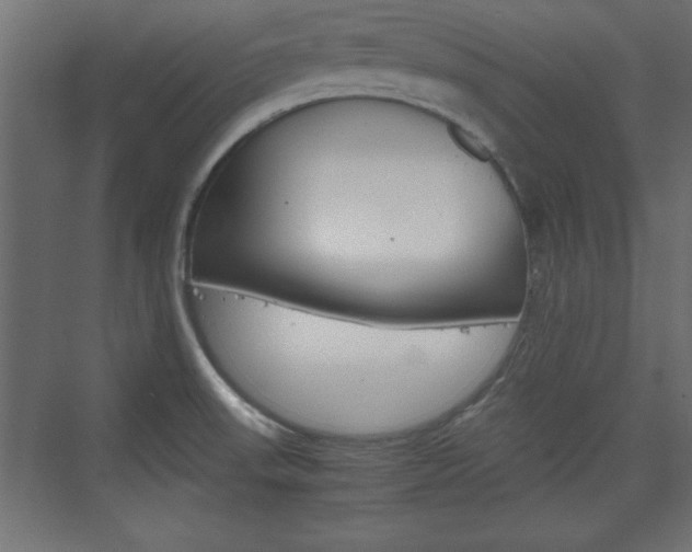 X0000074311523200608250951
