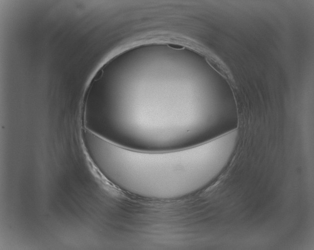 X0000074311530200608250951