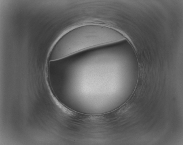 X0000074311531200608250951