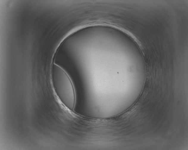 X0000074311534200608250952