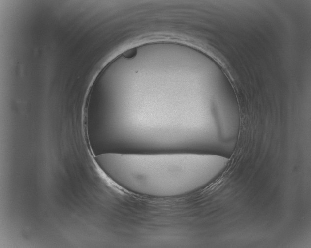 X0000074311535200608250952