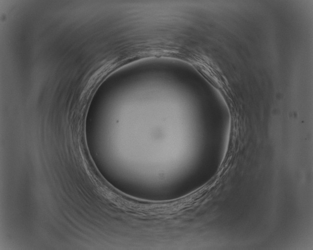 X0000074310001200608251247