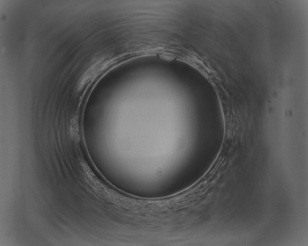 X0000074310002200608251247