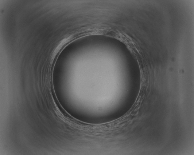 X0000074310003200608251247