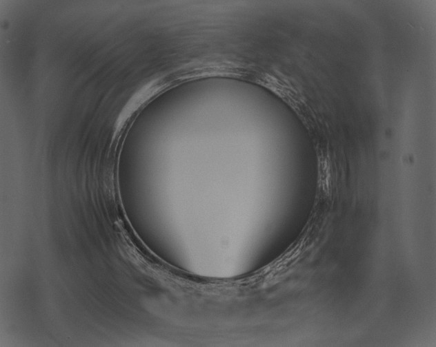 X0000074310004200608251247