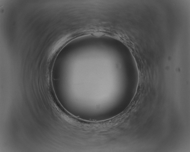 X0000074310005200608251247