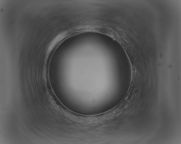 X0000074310006200608251247