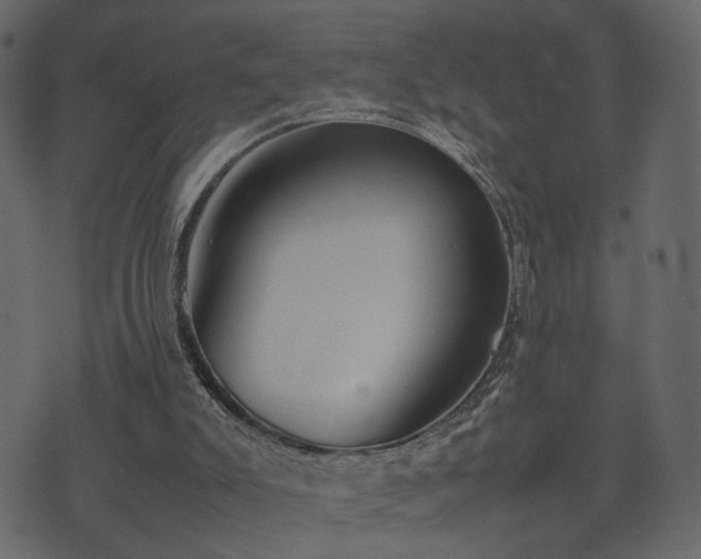 X0000074310007200608251247