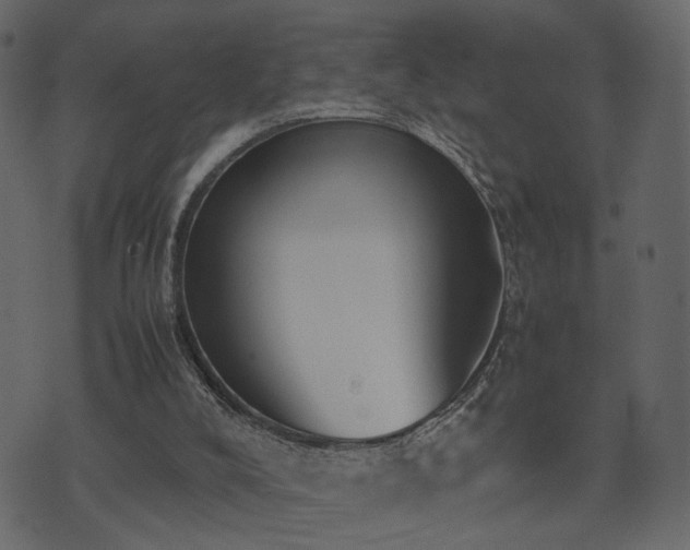 X0000074310008200608251247