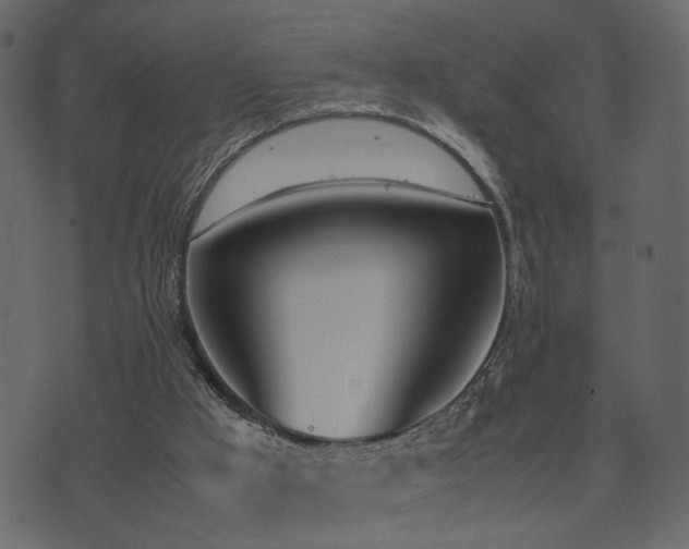 X0000074310009200608251247