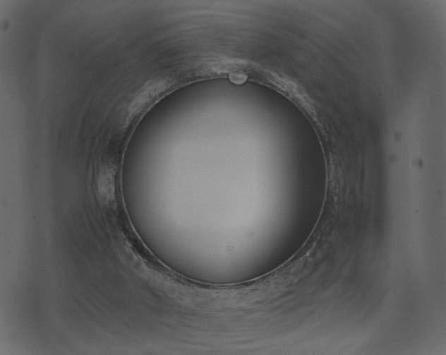 X0000074310010200608251247