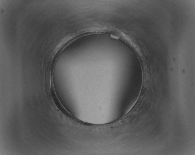 X0000074310011200608251247