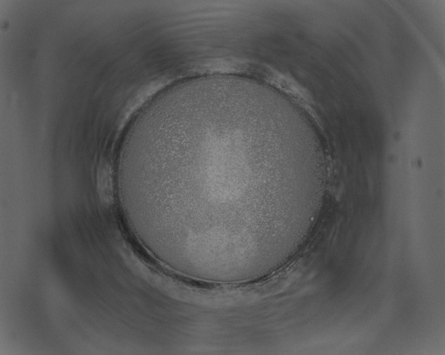 X0000074310012200608251247