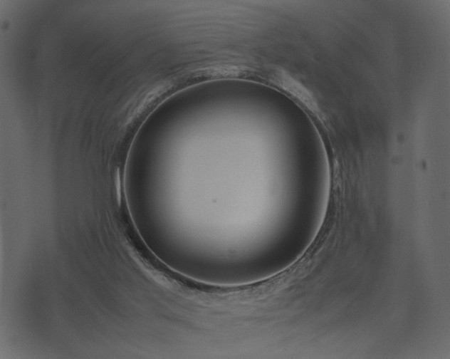 X0000074310013200608251247