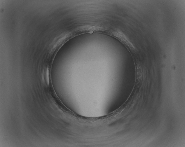 X0000074310014200608251247