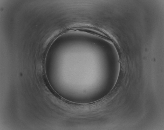 X0000074310015200608251247