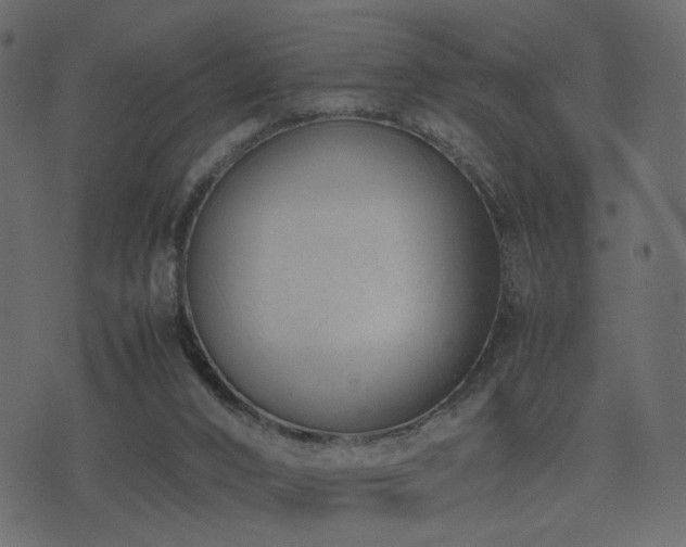 X0000074310016200608251247