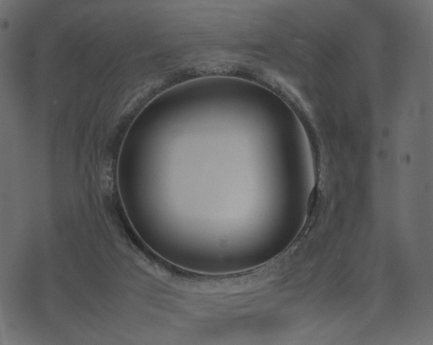 X0000074310017200608251247