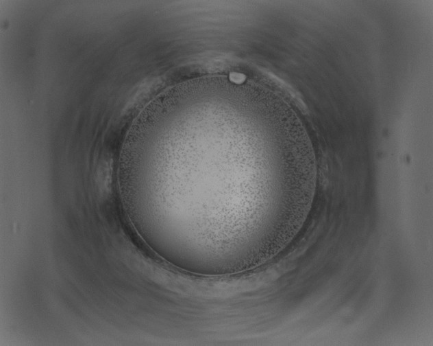 X0000074310018200608251247