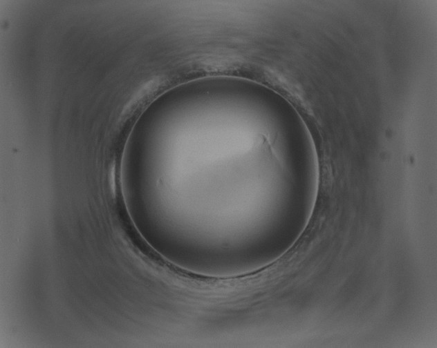 X0000074310019200608251247