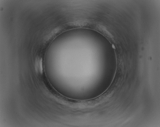 X0000074310020200608251247