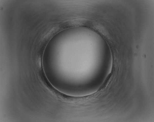 X0000074310021200608251247