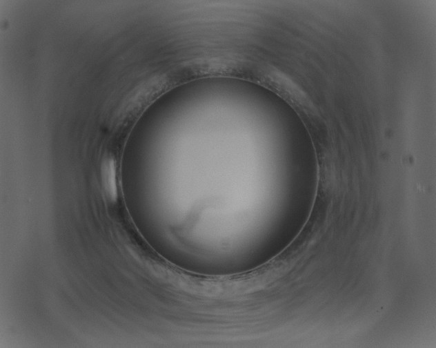 X0000074310022200608251247