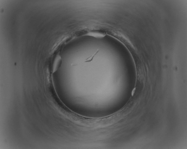 X0000074310023200608251247