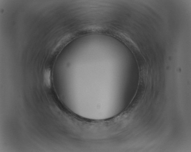 X0000074310024200608251247