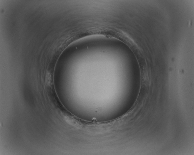 X0000074310025200608251247