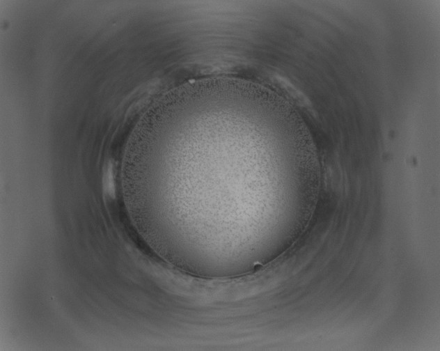 X0000074310026200608251247