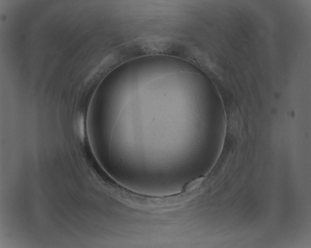 X0000074310027200608251247