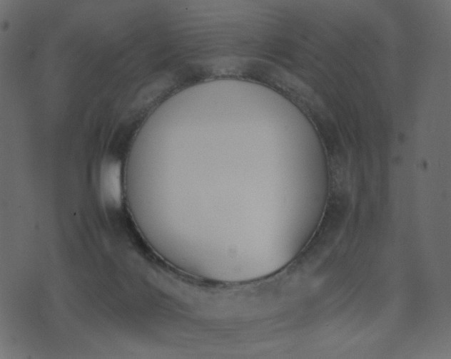 X0000074310028200608251247