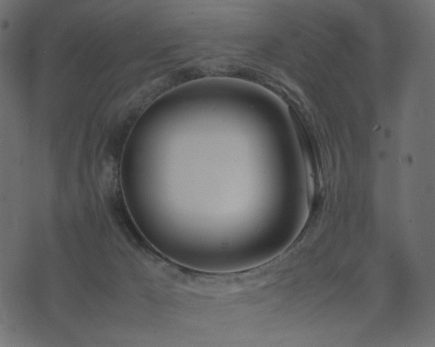 X0000074310029200608251247