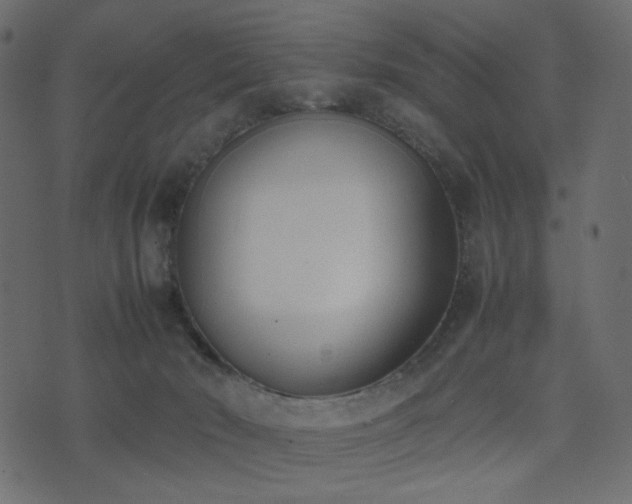 X0000074310030200608251247