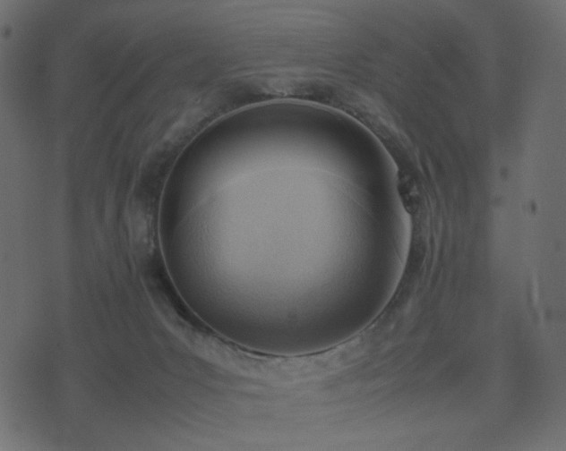 X0000074310031200608251247