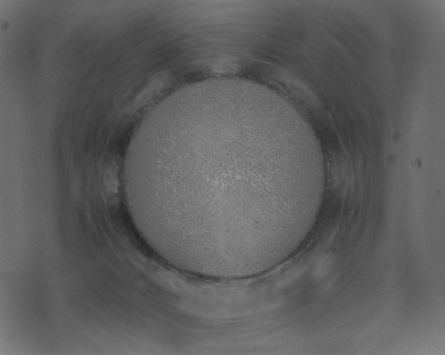 X0000074310032200608251247