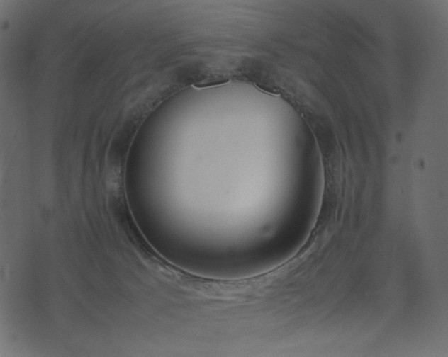 X0000074310033200608251247