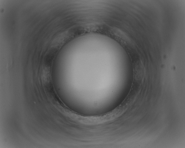 X0000074310034200608251247