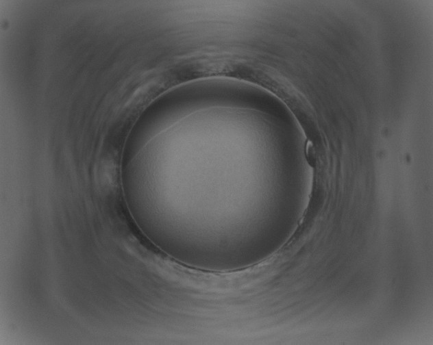 X0000074310035200608251247