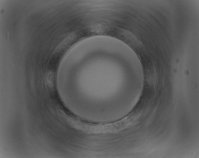 X0000074310036200608251247