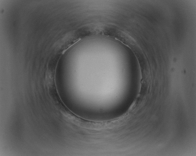 X0000074310037200608251247