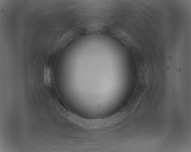 X0000074310038200608251247