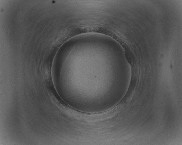 X0000074310039200608251247