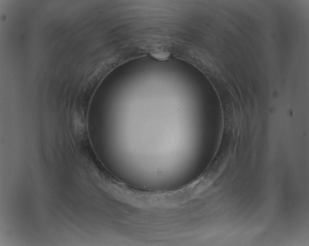 X0000074310040200608251247