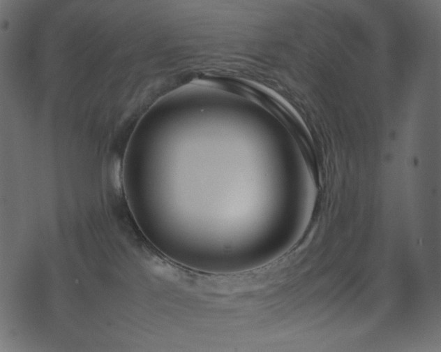 X0000074310041200608251247