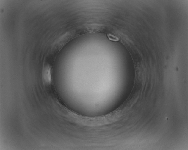 X0000074310042200608251247