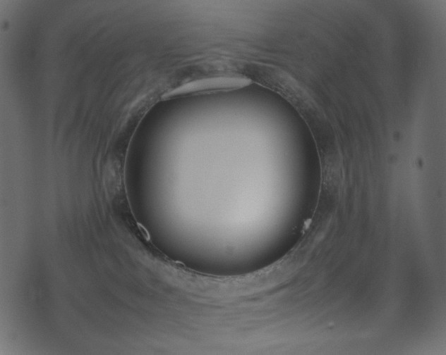 X0000074310043200608251247