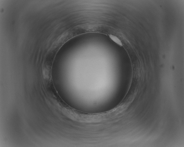 X0000074310044200608251247