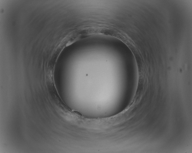 X0000074310045200608251246